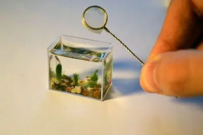 El acuario más pequeño del mundo