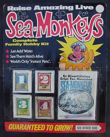 El Gran Misterio de los Sea Monkies