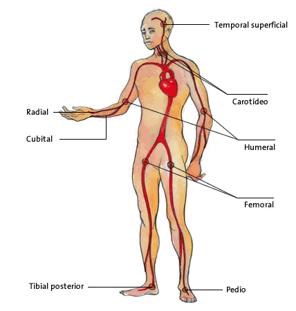 Primeros Auxilios [Algun dia podemos necesitarlo]
