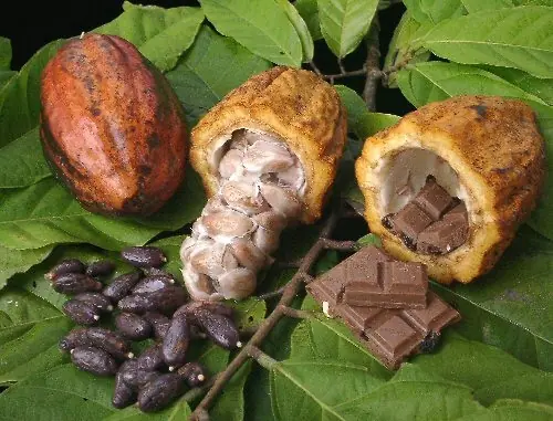 El Chocolate, muy interesnte