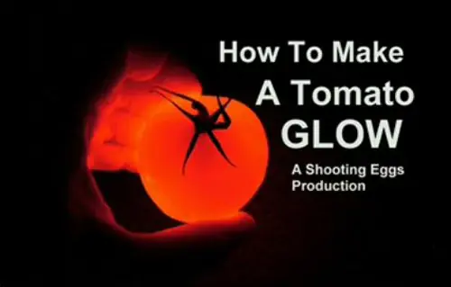 Como Hacer un tomate Fosforescente