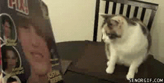 gifs :D lo mejors de lo mejor + yapa
