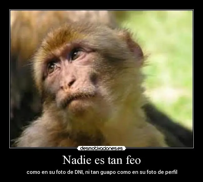 Carteles de Desmotivaciones.. Parte 3