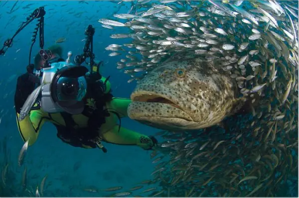 Las mejores imágenes de la naturaleza!