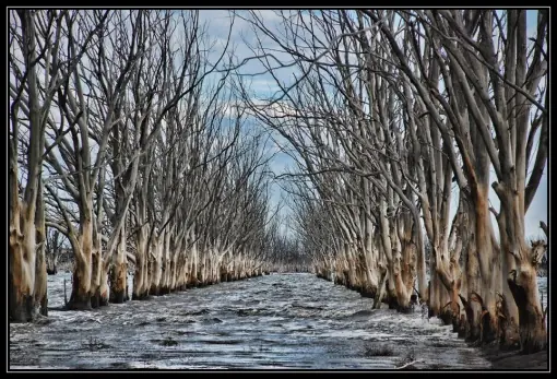 Villa Epecuén