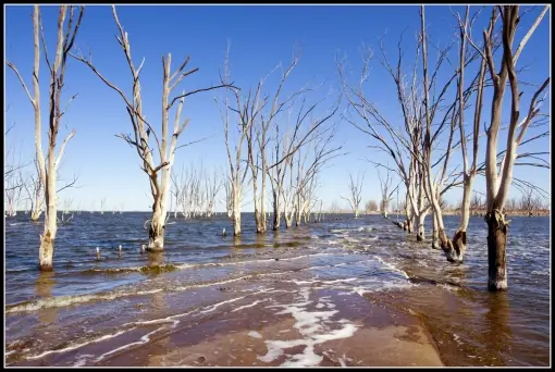 Villa Epecuén, el lago que se tragó al pueblo.