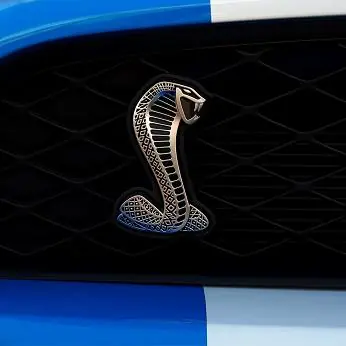 ford mustang shelby GT500 2010