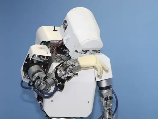 Los robots mas curiosos del mundo!