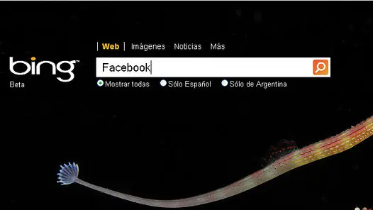 Microsoft y Facebook se unen para darle pelea a Google