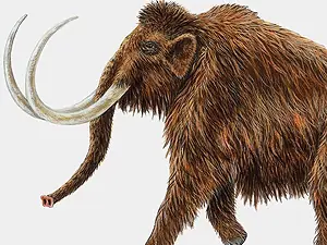 El primer mamut clonado podría nacer en 5 o 6 años