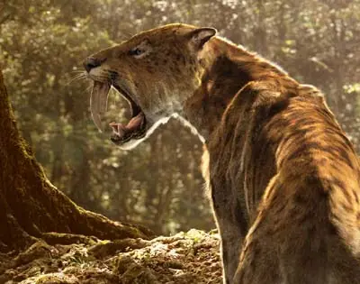 Animales que ya no podemos ver:Tigre dientes de sable