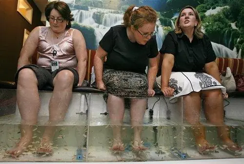 Mujeres cuyos peces arreglan sus uñas