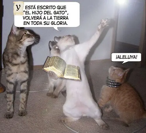 Estadisticas de la vida