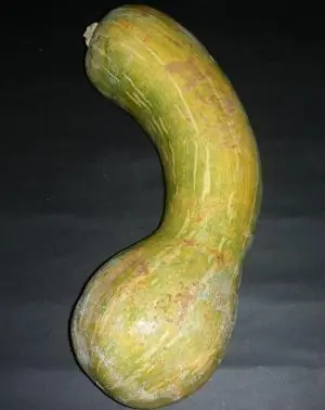 frases de les lutiers