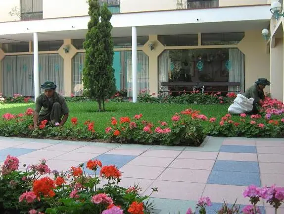 ¿como puedo cuidar mi jardin? si dises eso entra