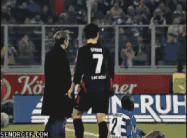Gifs muchos y varios (recomendable)apto