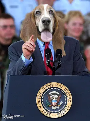 Y Si Los Perros Gobernaran El Mundo?