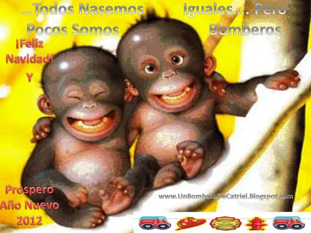 Humor Las mejores Imagenes De Bomberos y Navidad
