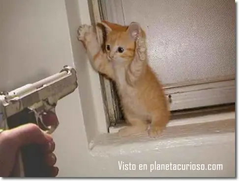 Inventos caseros faciles de hacer...