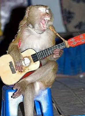 Los 3 Mejores guitarristas segun mi opinion