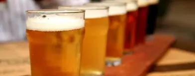 Tomar cerveza ayuda tener huesos más saludables
