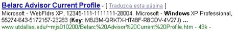 Serial de software gratis gracias a Google