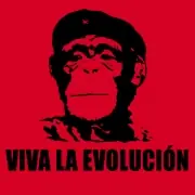 Estampados de Camisetas originales y divertidos.