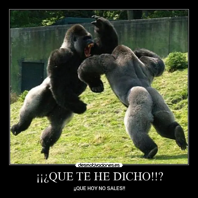 Imagenes de Desmotivaciones ¡¡VOLVI!! 1º