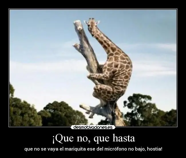 imagenes