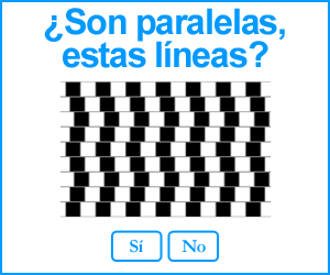 Las lineas son rectas?