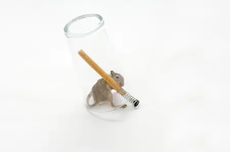 Trampas ingeniosas para ratones (no mortales)