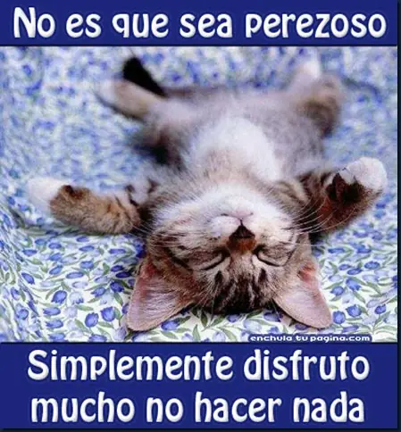 no hacer nada no es nada facil jejej