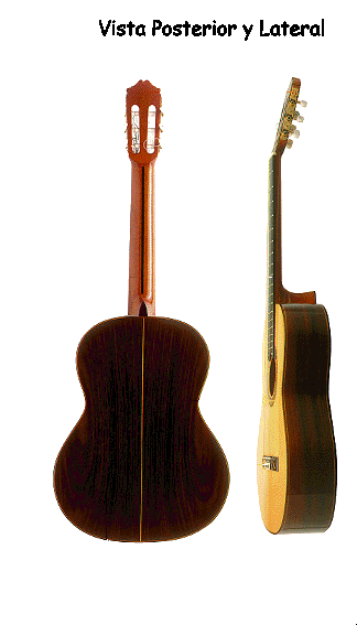 Aprende a Tocar Guitarra!
