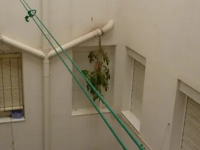 El tremendo poder de la mierda