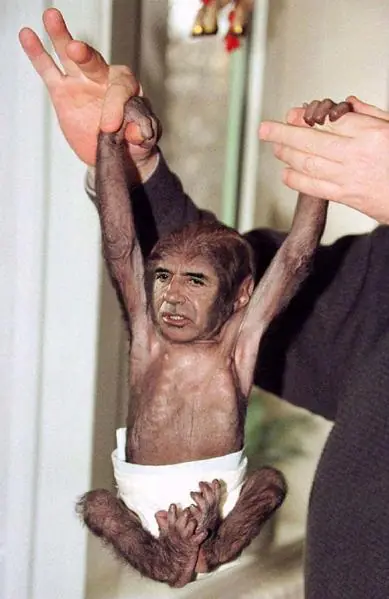 menem es el eslabon perdido