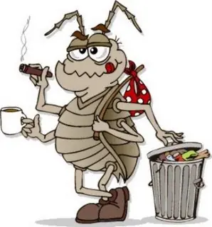 la cucaracha
