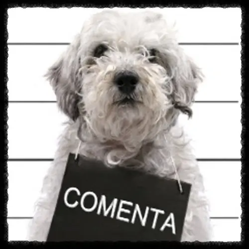 james bond se vuelve mujer