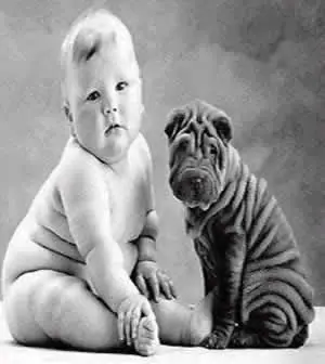 imagenes