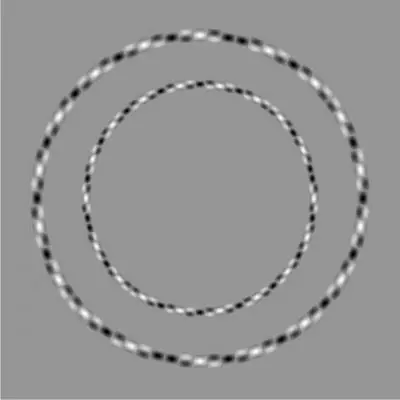 visuales