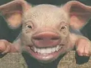 Test del cerdito!