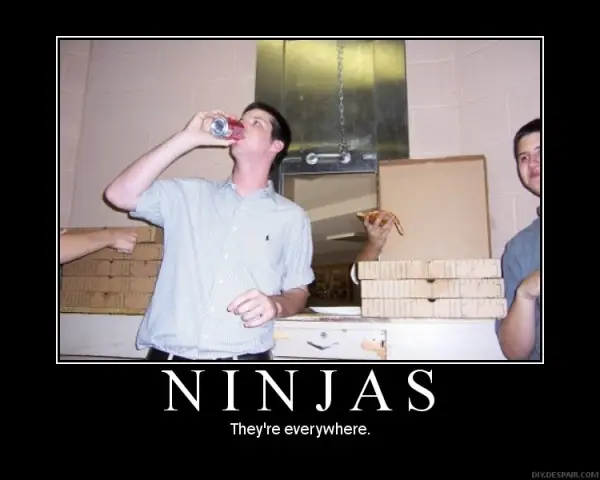 ninjas