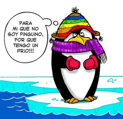 cosas graciosas en las bodas y algunas imagenes