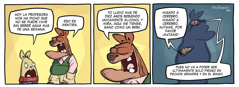 conejo