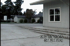 Gifs