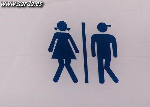 recomiendo