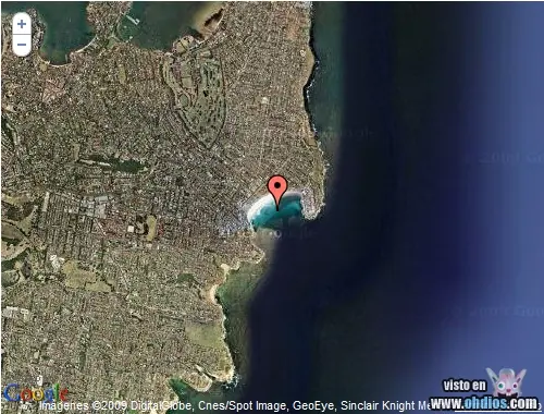 Tiburones en la Costa
