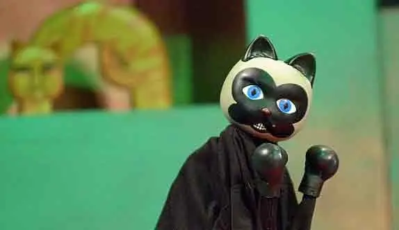 Una hora y media con el Gato de Verdaguer