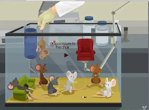 Prueba los efectos de las Drogas (?