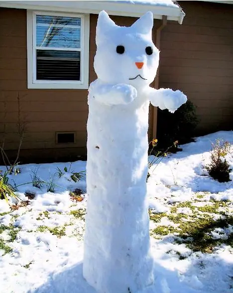 Long cat?? ya no, ahora EPIC LongCat...