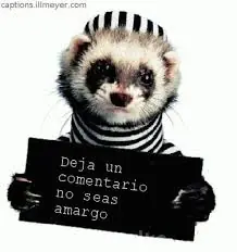 15 Respuestas a preguntas Idiotas